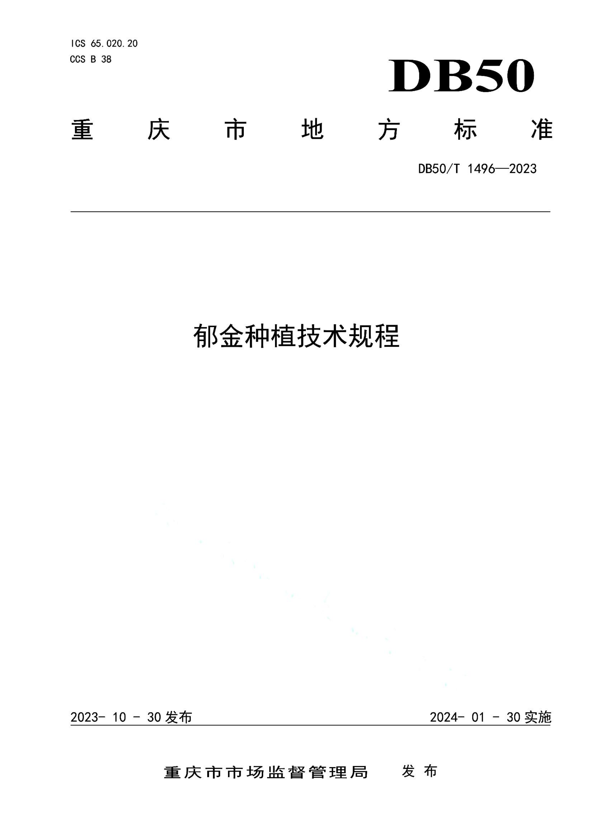 资源详情图